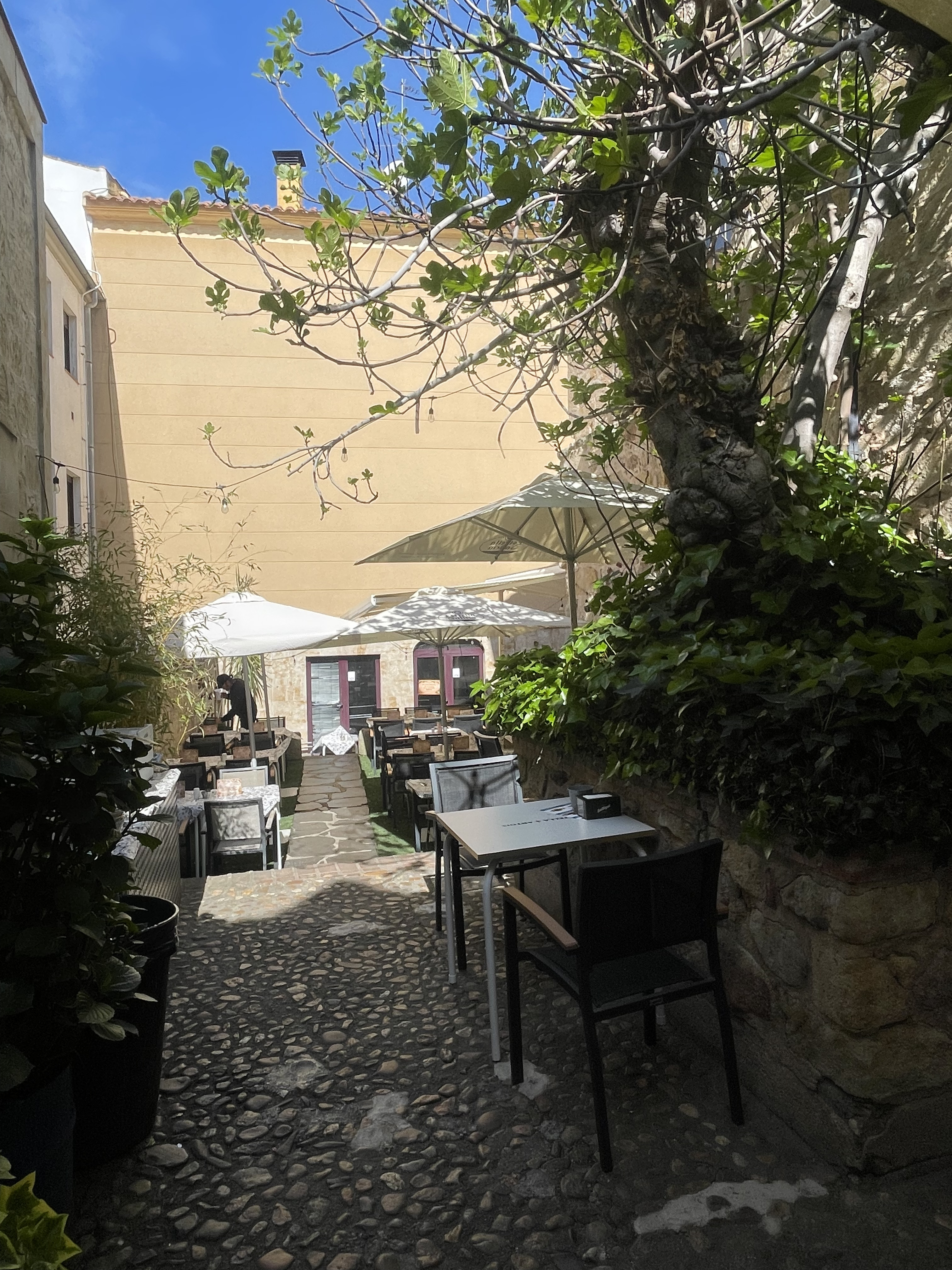 Ambiente de la terraza
